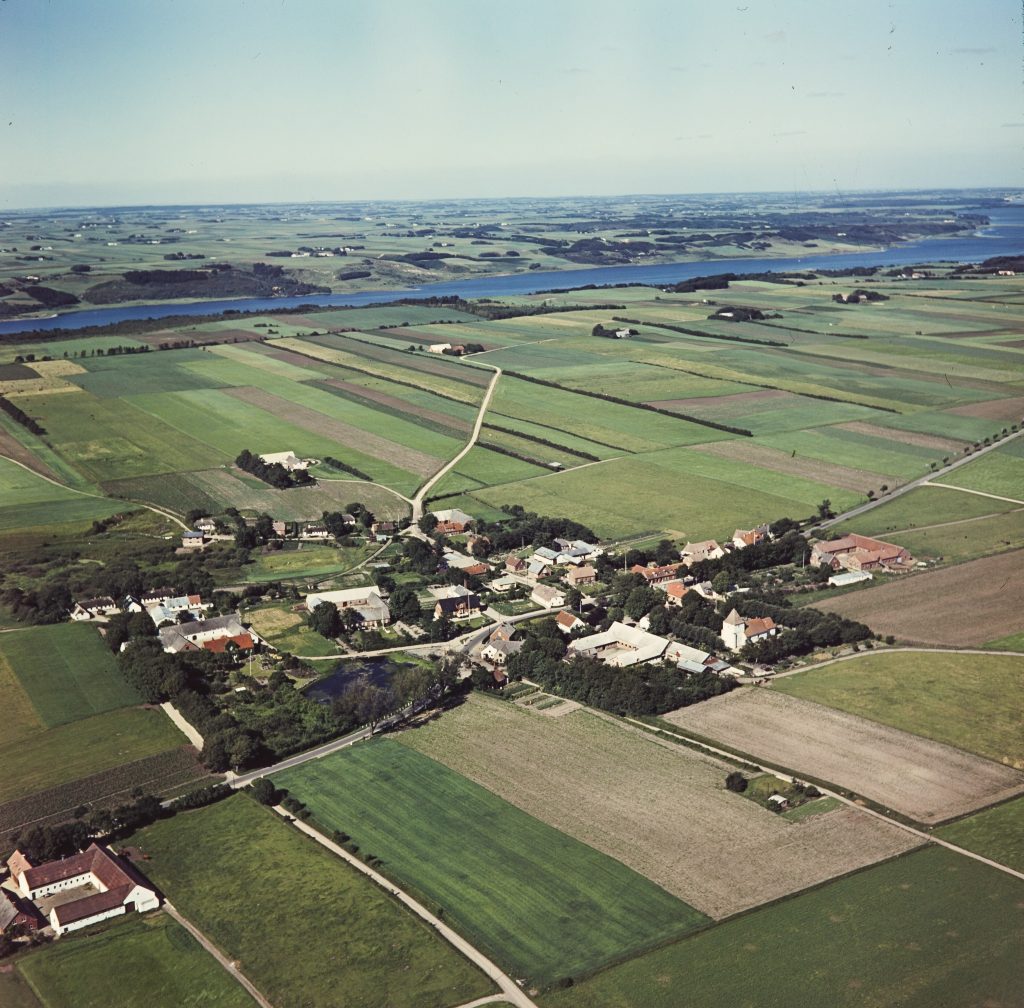 Skjellerup og Mariager Fjord · 1956