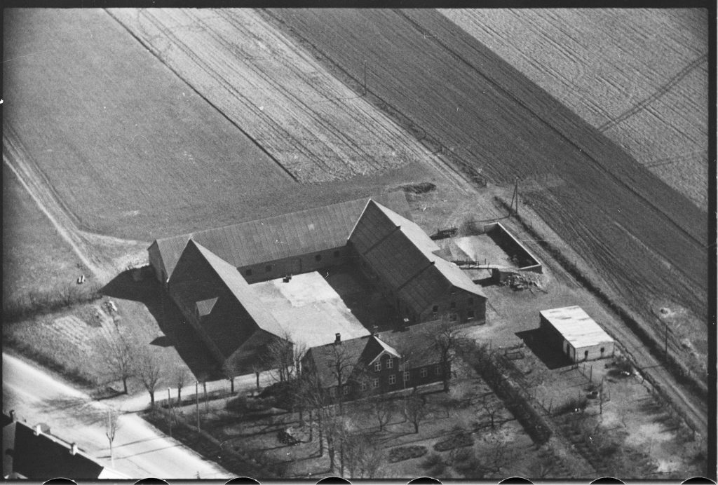 Højgård